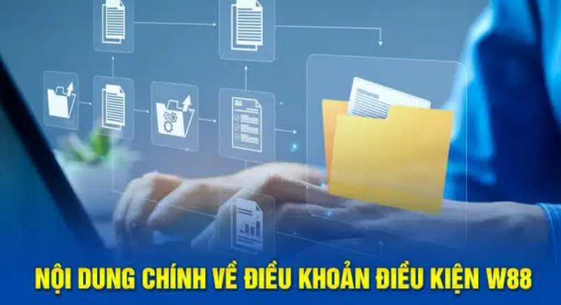 Những chính sách có trong điều khoản điều kiện nhà cái